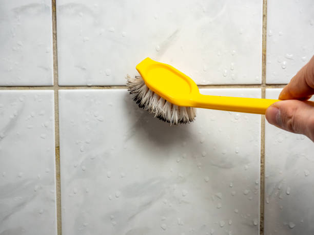 Best Home Mold Removal  in Whittingham, NJ