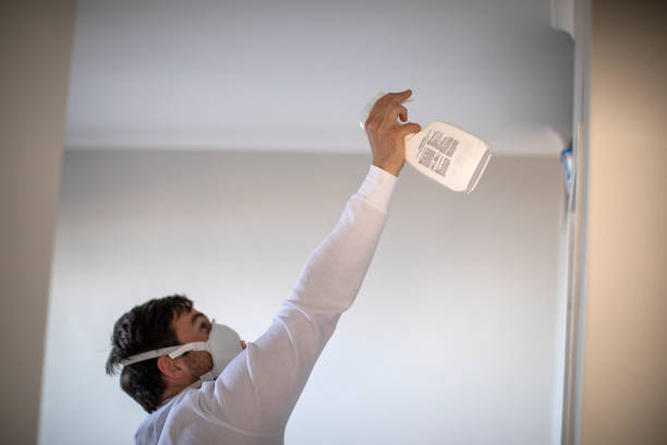 Best Mold Removal Near Me  in Whittingham, NJ