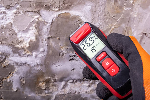 Certified Mold Removal in Whittingham, NJ