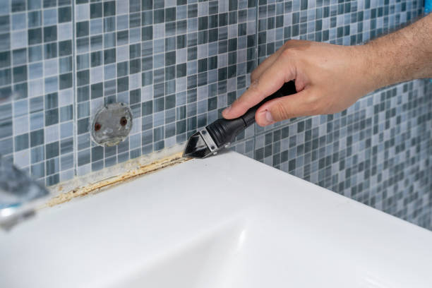 Best Toxic Mold Removal  in Whittingham, NJ