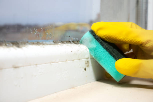 Best Mold Cleaning Services  in Whittingham, NJ