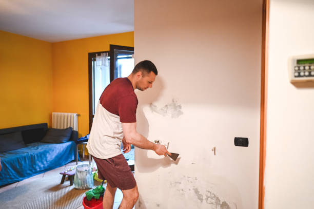 Best Mold Removal Specialists  in Whittingham, NJ